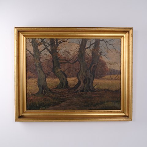 Peinture à l’Huile avec Paysage Forestier et Vieux Arbres Noueux dans un Cadre Doré Profilé 80 x 101 cm